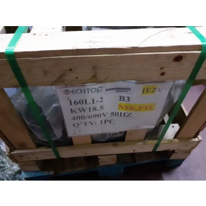 Motor Eléctrico TEC Techtop T2CR160L1-2 B3, 18.5 kW, 2922 RPM, eficiencia IE3.